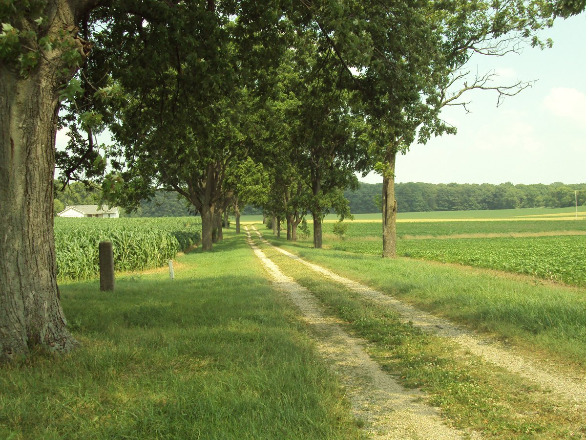 Property photo 7 - 160 Acres Offered in 6 Tracts